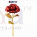 OkaeYa Red Rose (29 cm x 10 cm x 10 cm, Red)